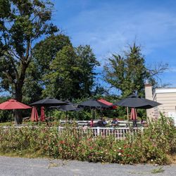 Lone Oak Tavern - Outdoor patio -no dogs allowed :(