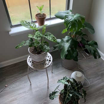 Plant Ranch Nursery - Nurseries & Gardening Near Me - Jacksonville Beach, Florida