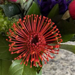 Rose & Blossom - Beautiful floral arrangement