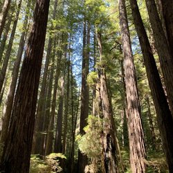 James Irvine - Miner's Ridge Loop Trail