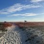 Photo of Dauphin Island Campground