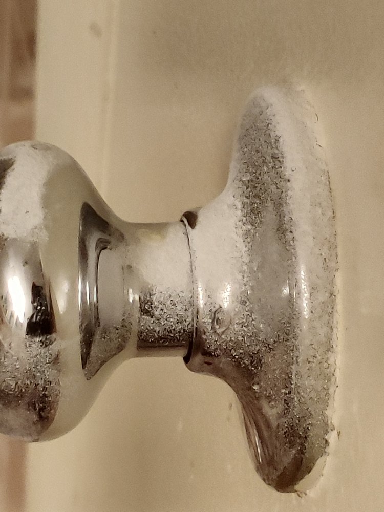 CHATEAU ORLEANS APARTMENTS Updated July 2024 15 Photos 312