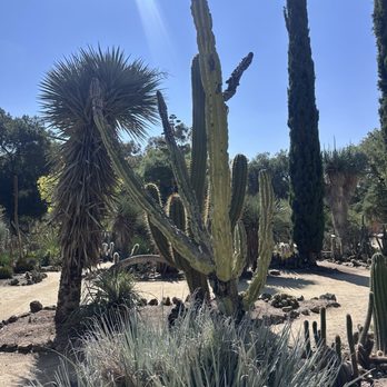 Arizona Garden - Botanical Gardens Near Me - Stanford, California Arizona Garden - Botanical Gardens Near Me - Stanford, California