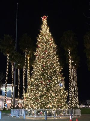 Jack London Square by null