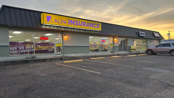 ALPA Insurance