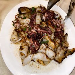 Luciano's Italian Restaurant - Calamari ai Ferri