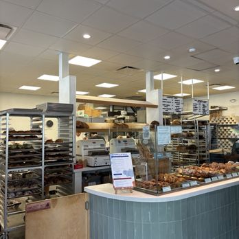 Tommy and Atticus - Bakeries Near Me - Redondo Beach, California Tommy and Atticus - Bakeries Near Me - Redondo Beach, California