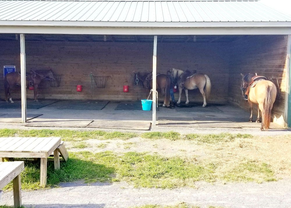 NOOKSIDE STABLES 21 Photos 500 Landisville Rd, Manheim