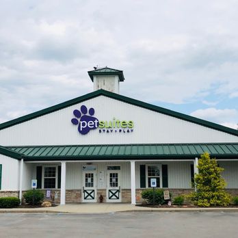 PetSuites Hamburg - Pet Groomers Near Me - Lexington, Kentucky PetSuites Hamburg - Pet Groomers Near Me - Lexington, Kentucky