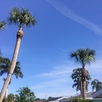 Parchment's Tree Service - Tree Services Near Me - St. Petersburg, Florida Parchment's Tree Service - Tree Services Near Me - St. Petersburg, Florida
