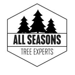 All Seasons Tree Experts