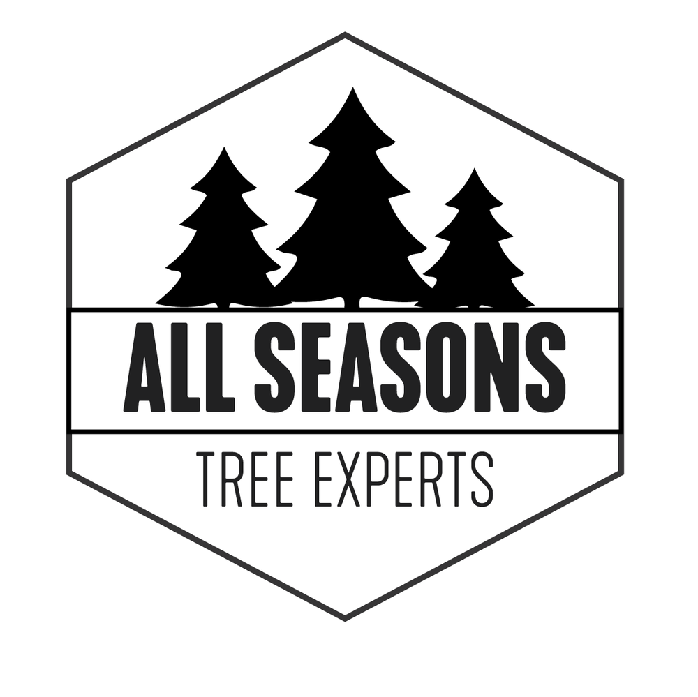 ALL SEASONS TREE EXPERTS Updated August 2024 Voorhees, New Jersey