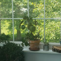 Mella Services - Sparkling windows....