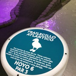 Par 8000