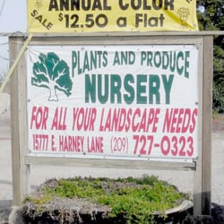 Plants & Produce