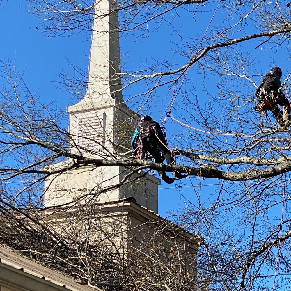 Castle's Tree Service - Clearing tree from a church roof area - Tree Services Near Me - tyler, Texas Castle's Tree Service - Clearing tree from a church roof area - Tree Services Near Me - tyler, Texas