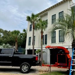 Hernandez Trees & Lawn Care
