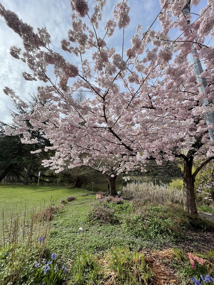 MINORU PARK 114 Photos & 19 Reviews 7191 Granville Ave, Richmond