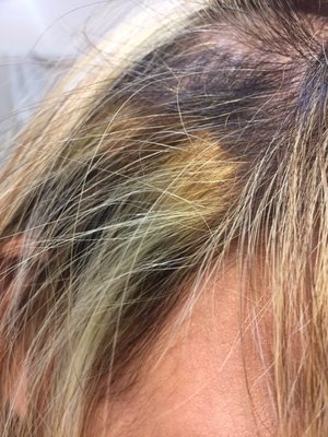 SoHo Atelier by null