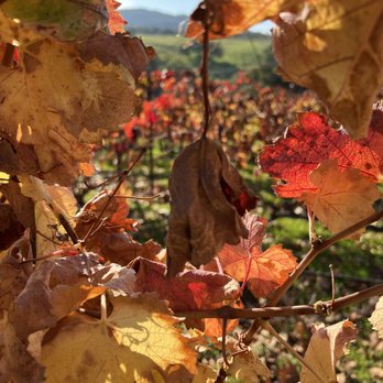 Denner Vineyards - Wineries Near Me - Paso Robles, California Denner Vineyards - Wineries Near Me - Paso Robles, California