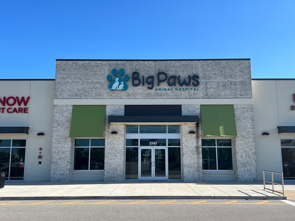 BIG PAWS ANIMAL HOSPITAL 7341 University Pkwy, Lakewood Ranch, FL Yelp