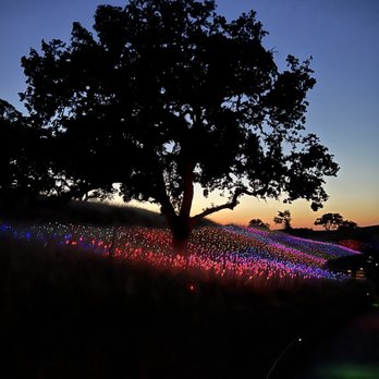 Sensorio - Art Galleries Near Me - Paso Robles, California