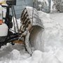 Photo of Doug's Property Grooming