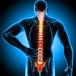 Brentwood Physiotherapy Clinic - Experienced Physiotherapists Treating Neck and Back Pain