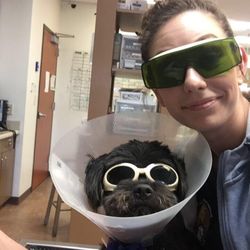 Horseshoe Lake Animal Hospital, A Thrive Pet Healthcare Partner