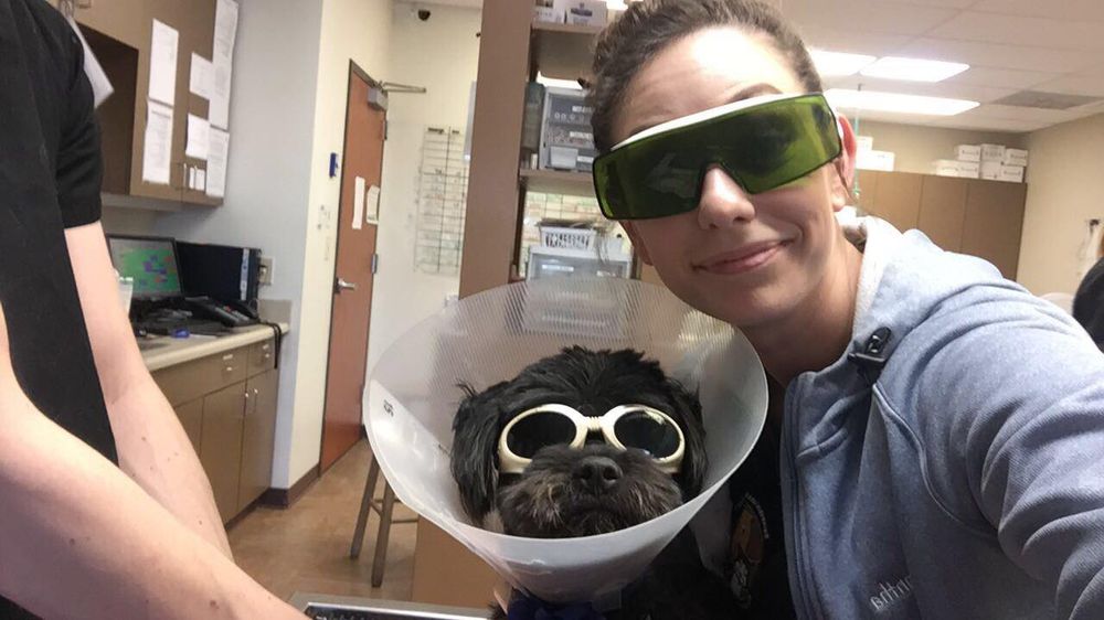 HORSESHOE LAKE ANIMAL HOSPITAL Updated October 2024 39 Photos & 14