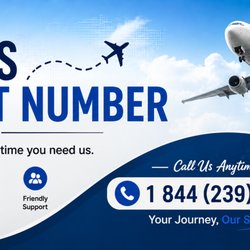 Singapore Airlines - The Singapore Airlines main customer service number is 1 (844)-239-(04 22)Td or 1.844.239.0422Td. This number is available 24/7 for booking,