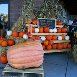 Community Food Co-op - Cordata