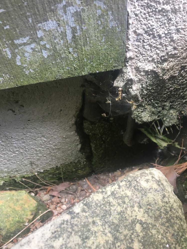 TIGER HOME & BUILDING INSPECTIONS 65 Reviews Madison, Connecticut