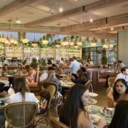 SADELLE’S COCONUT GROVE - Updated March 2026 - 492 Photos & 241 Reviews ...