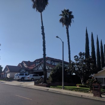 Golden State Tree Service - Tree Services Near Me - Glendora, California