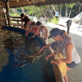Florida Keys Aquarium Encounters - Aquariums Near Me - Marathon, Florida Florida Keys Aquarium Encounters - Aquariums Near Me - Marathon, Florida