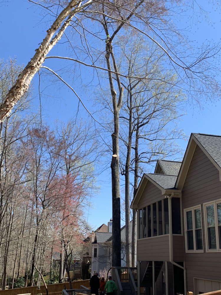 Southern Star Tree Service - tree service in Atlanta, GA