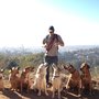 The Natural Dog