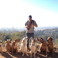 The Natural Dog - Paul working his magic with the pups.