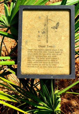 Boca Ciega Millennium Park by null