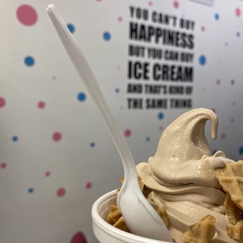 D'Lites of Spring Hill - a cup of ice cream - Ice Cream & Frozen Yogurt Near Me - Spring Hill, Florida