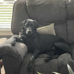 Relaxing after her spa day!!!!!