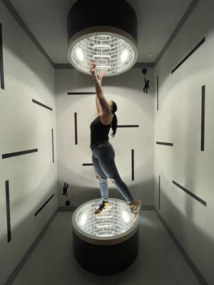 Paradox Museum Miami by null