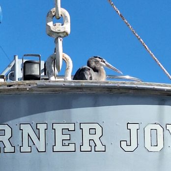 USS Turner Joy - Museums Near Me - Bremerton, Washington USS Turner Joy - Museums Near Me - Bremerton, Washington