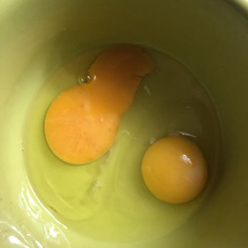 Sewickley Confectionery - Can you guess which yolk is from store bought organic eggs? - Ice Cream & Frozen Yogurt Near Me - Sewickley, Pennsylvania Sewickley Confectionery - Can you guess which yolk is from store bought organic eggs? - Ice Cream & Frozen Yogurt Near Me - Sewickley, Pennsylvania