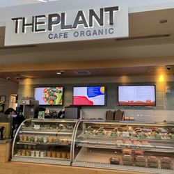 The Plant Cafe Organic