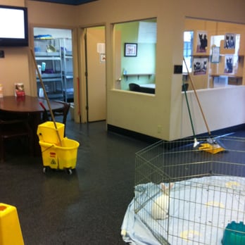 Placer SPCA - Animal Shelters Near Me - Roseville, California Placer SPCA - Animal Shelters Near Me - Roseville, California