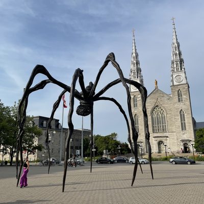 Notre Dame Cathedral Basilica by null