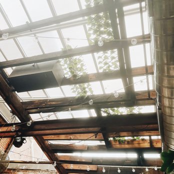 Little Pecks - | PATIO SPACE | - Coffee & Tea Near Me - Troy, New York