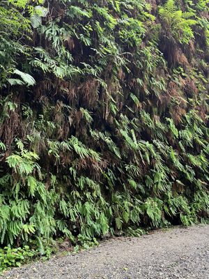 Elk Prairie Campground by null